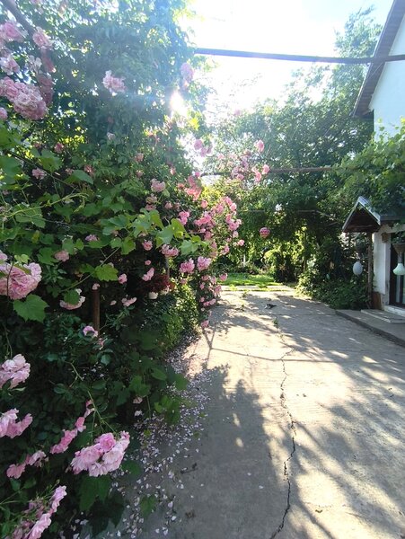 Jilava- Tineretului- Casa solida- 1000mp Teren-260mp -175.000 EUR