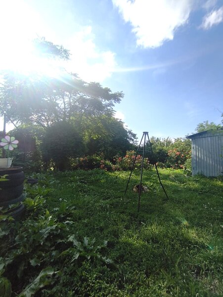 Jilava- Tineretului- Casa solida- 1000mp Teren-260mp -175.000 EUR