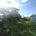 Jilava- Tineretului- Casa solida- 1000mp Teren-260mp -175.000 EUR